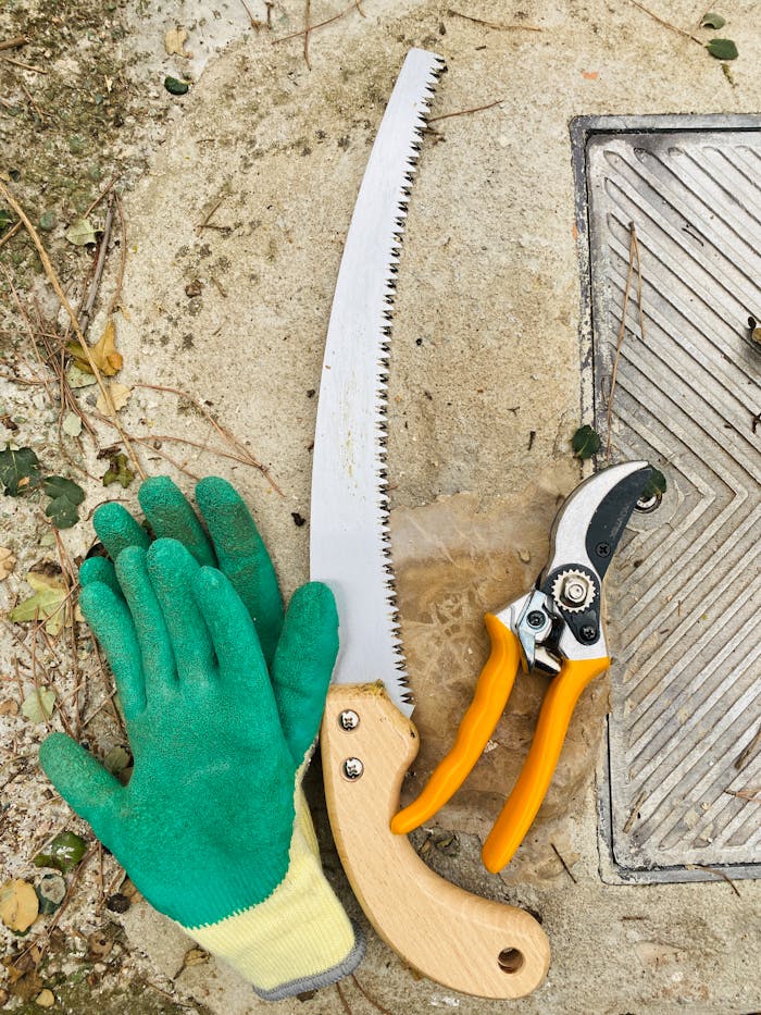Top view of gardening gloves, saw, and pruning shears on a stone surface.